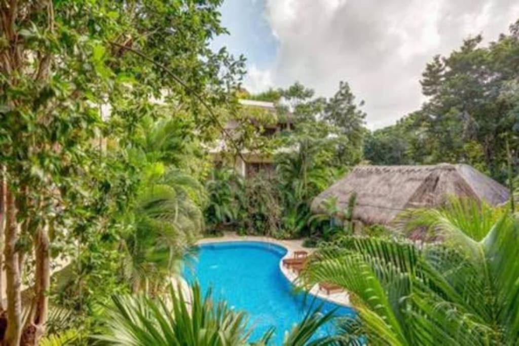 Condo Complex With An Alluring Pool & Tropical Vibes By Stella Rentals! Tulum Ngoại thất bức ảnh